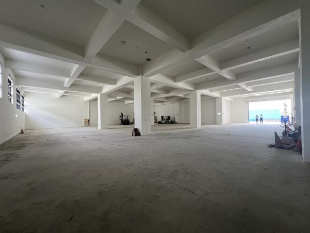 新北廠房-0