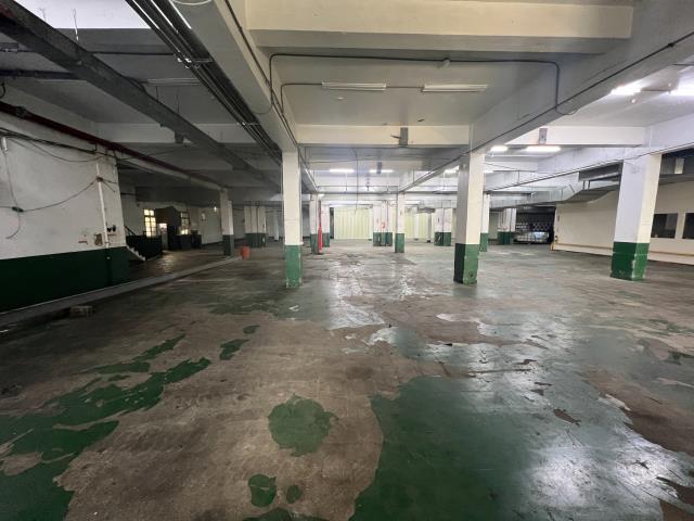 桃園區廠房-5